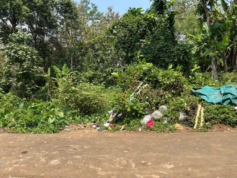 dijual tanah 2900m lingkungan asri karanganyar