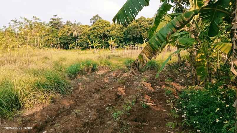 dijual tanah 3303 m2 setu bekasi