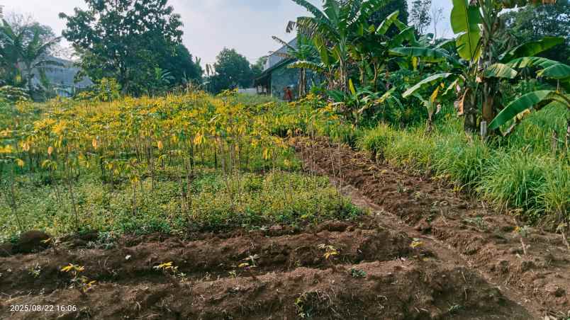 dijual tanah 3303 m2 setu bekasi