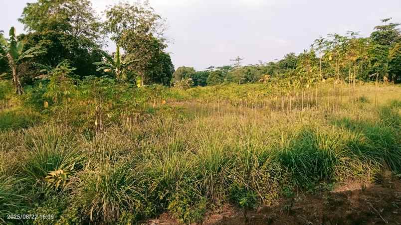 dijual tanah 3303 m2 setu bekasi