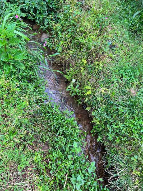 dijual tanah ada air terjunnya ngargoyoso karanganyar