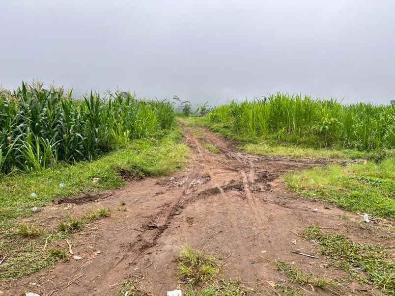 dijual tanah ada air terjunnya ngargoyoso karanganyar