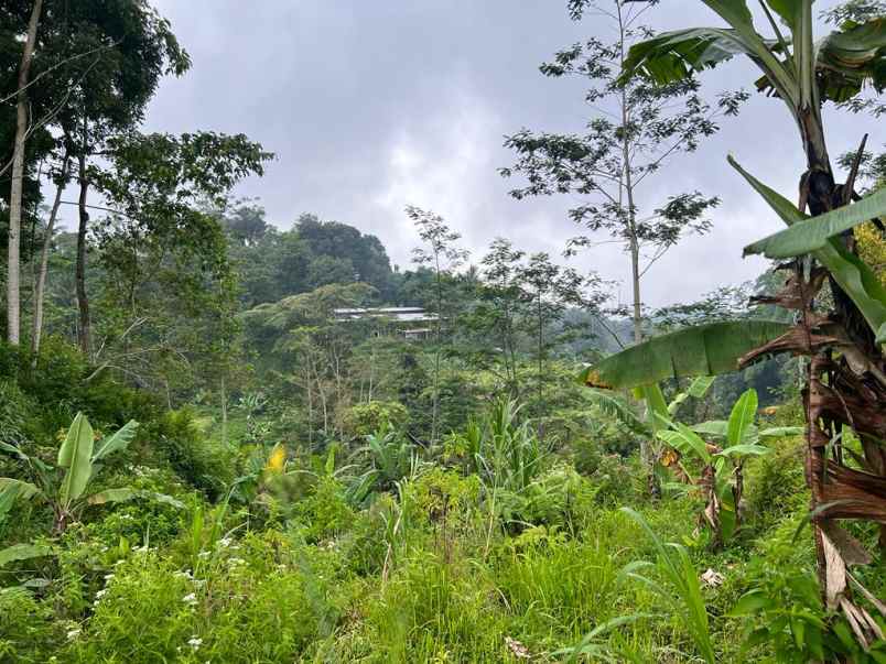 dijual tanah ada air terjunnya ngargoyoso karanganyar