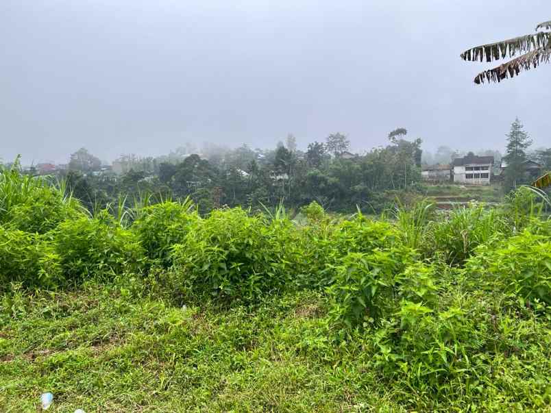 dijual tanah ada air terjunnya ngargoyoso karanganyar