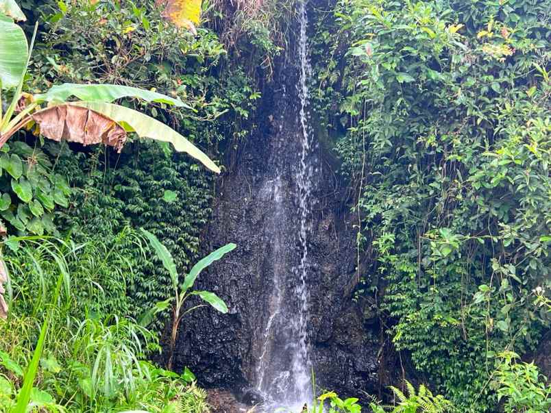 dijual tanah ada air terjunnya ngargoyoso karanganyar