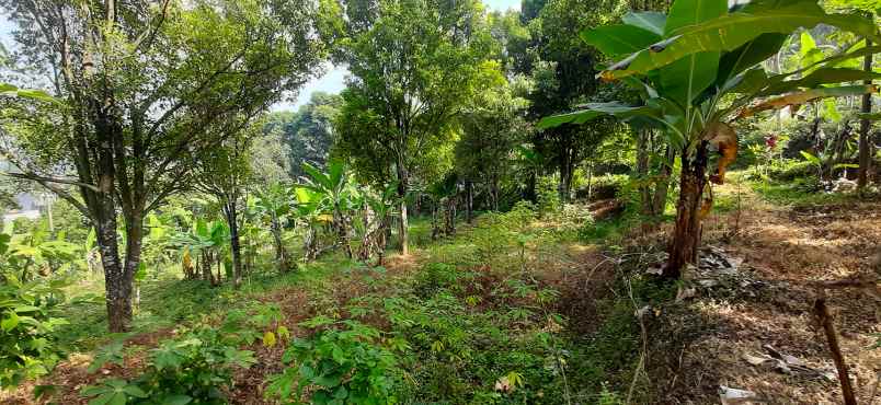 dijual tanah arcmanik