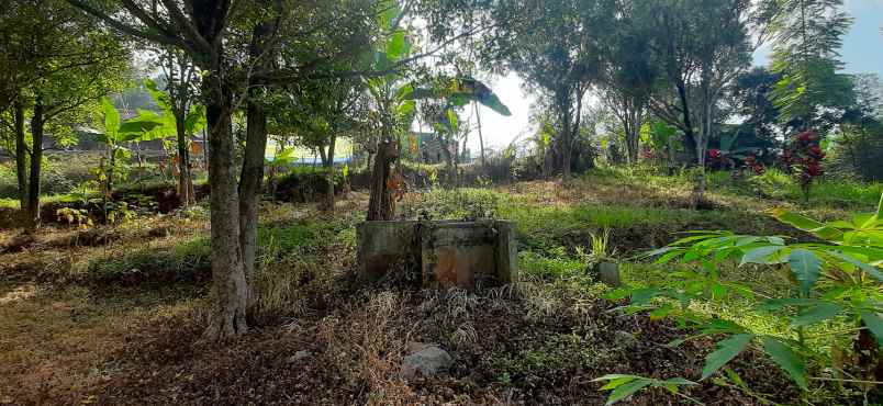 dijual tanah arcmanik