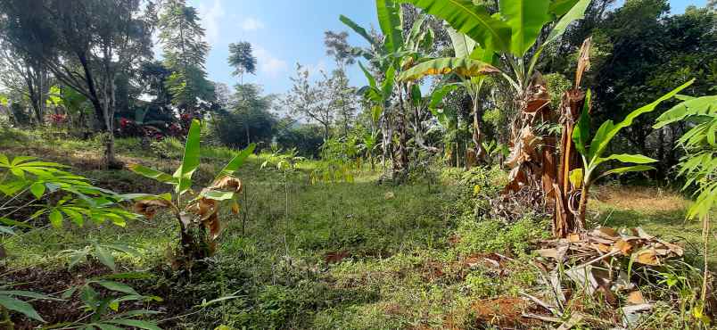 dijual tanah arcmanik