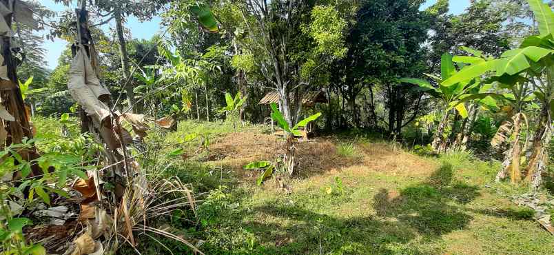 dijual tanah arcmanik