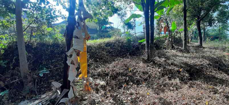 dijual tanah arcmanik