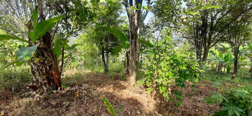 dijual tanah arcmanik