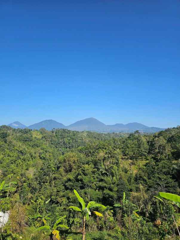 dijual tanah auman kec petang kab badung