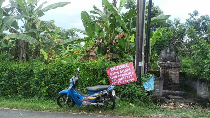dijual tanah banyu biru negara jembrana bali