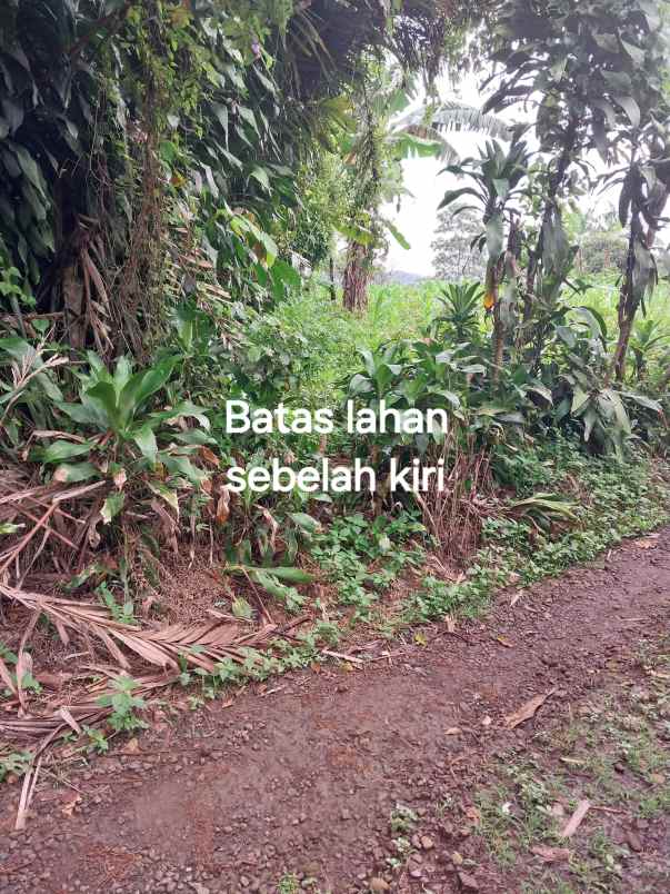 dijual tanah blok camara cigendel