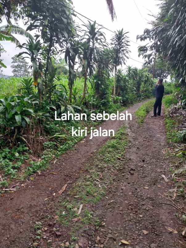 dijual tanah blok camara cigendel