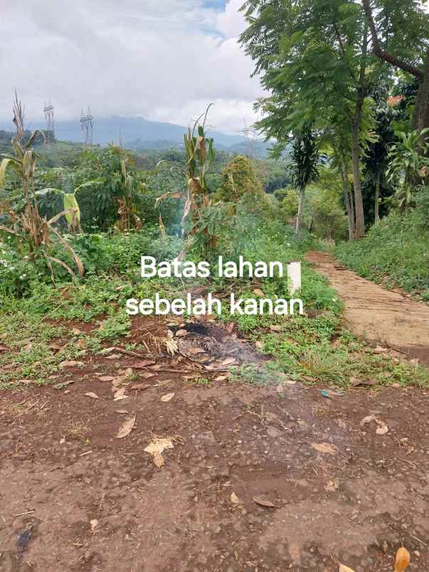 dijual tanah blok camara cigendel