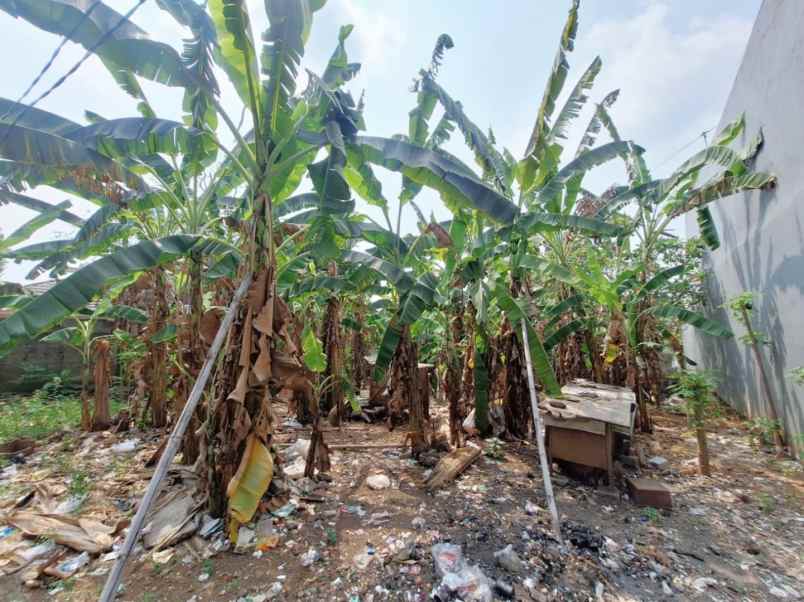 dijual tanah cibubur harjamukti