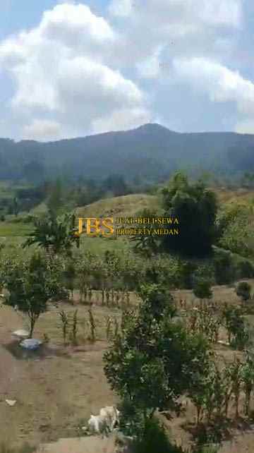 dijual tanah daerah simalungun desa