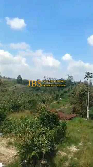 dijual tanah desa tiga urung butu bayu