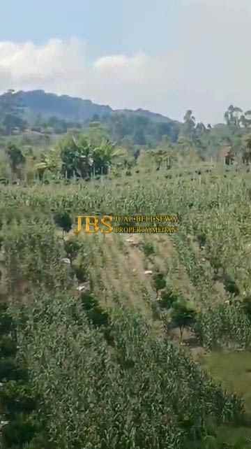 dijual tanah desa tiga urung butu bayu