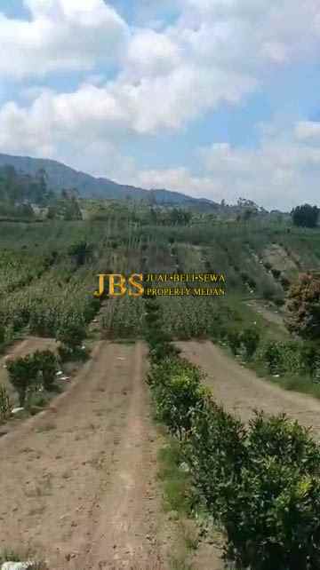 dijual tanah desa tiga urung butu bayu