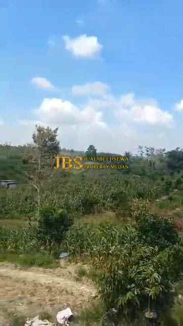 dijual tanah desa tiga urung butu bayu