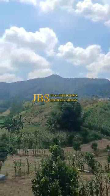 dijual tanah desa tiga urung butu bayu