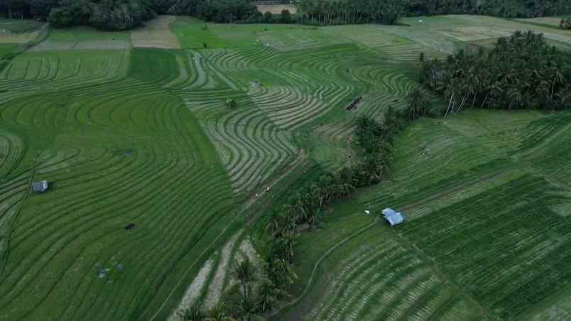 dijual tanah desa wisata tangguntiti