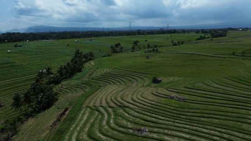 dijual tanah desa wisata tangguntiti