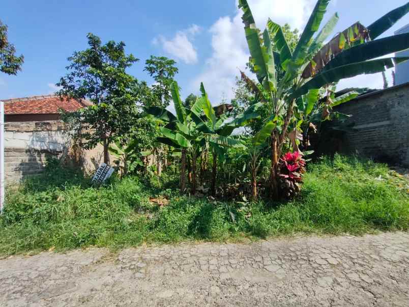 dijual tanah di bukit indah cihanjuang