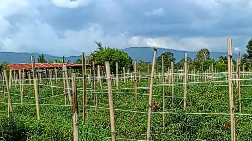 dijual tanah di dolat rayat berastagi o8l37747oloo
