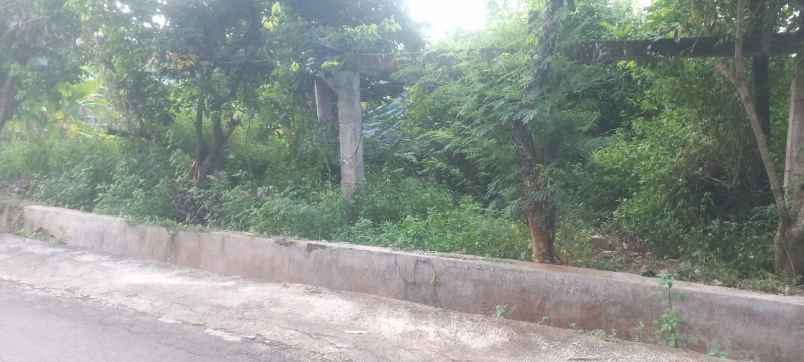 dijual tanah di mulawarman semarang