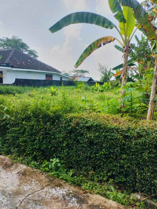 dijual tanah dijual tanah di dusun 2