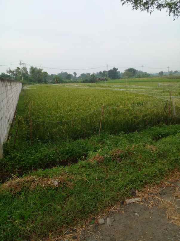 dijual tanah dijual tanah di dusun