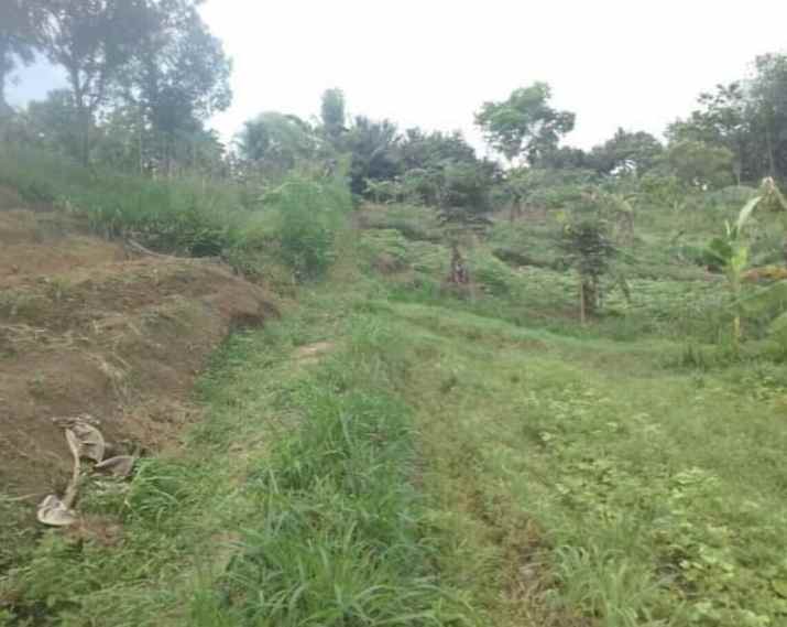 dijual tanah dijual tanah di jl