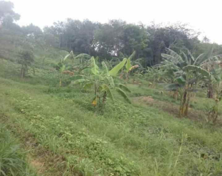 dijual tanah dijual tanah di jl