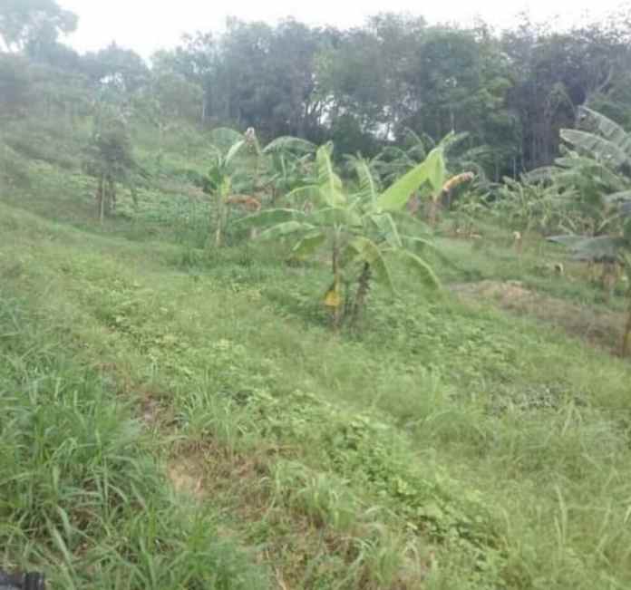 dijual tanah dijual tanah di jl