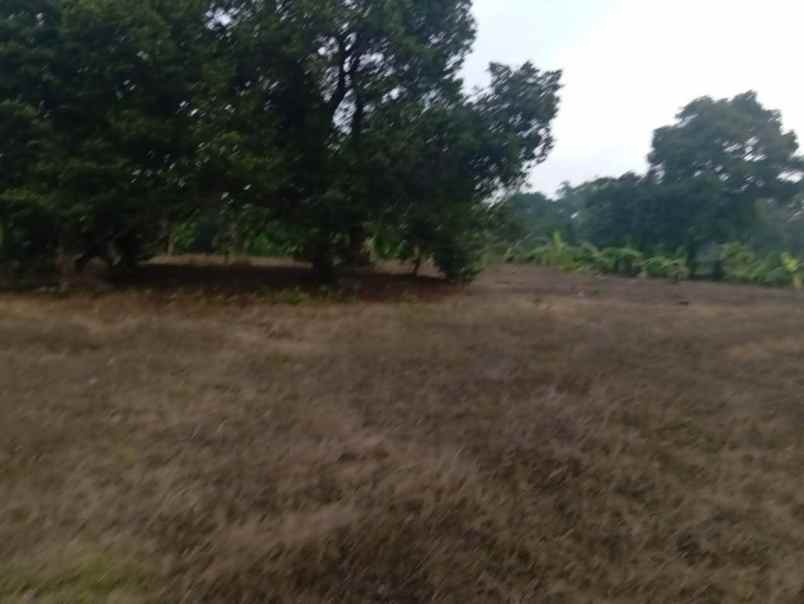 dijual tanah dusun dukuan kidul