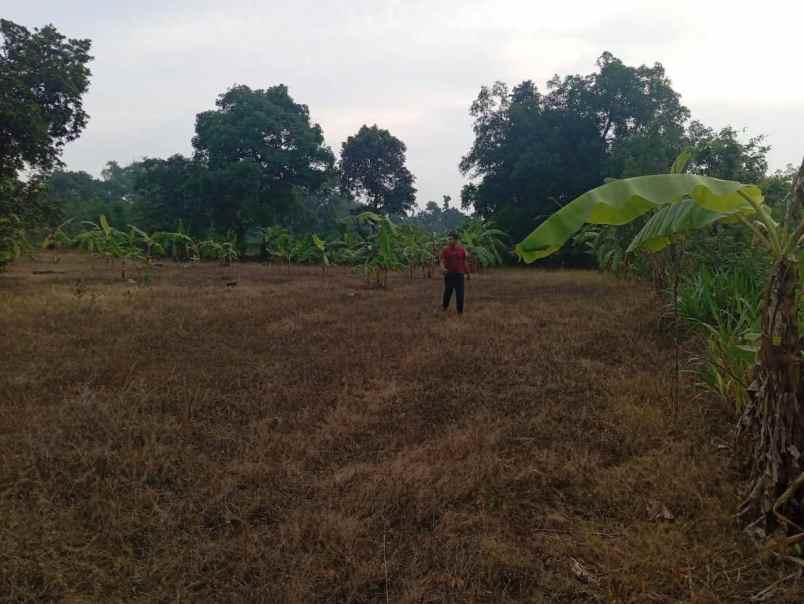 dijual tanah dusun dukuan kidul