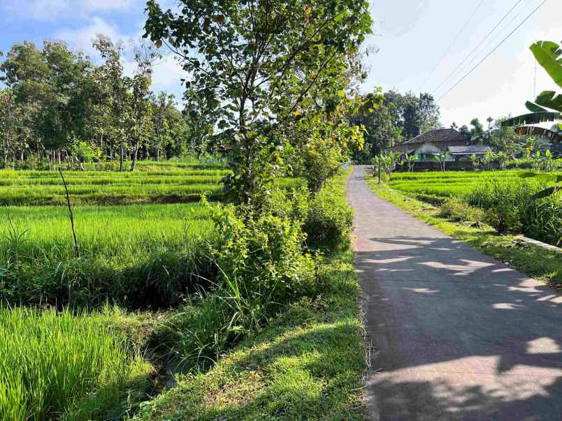 dijual tanah hanya 175 juta mojogedang karanganyar