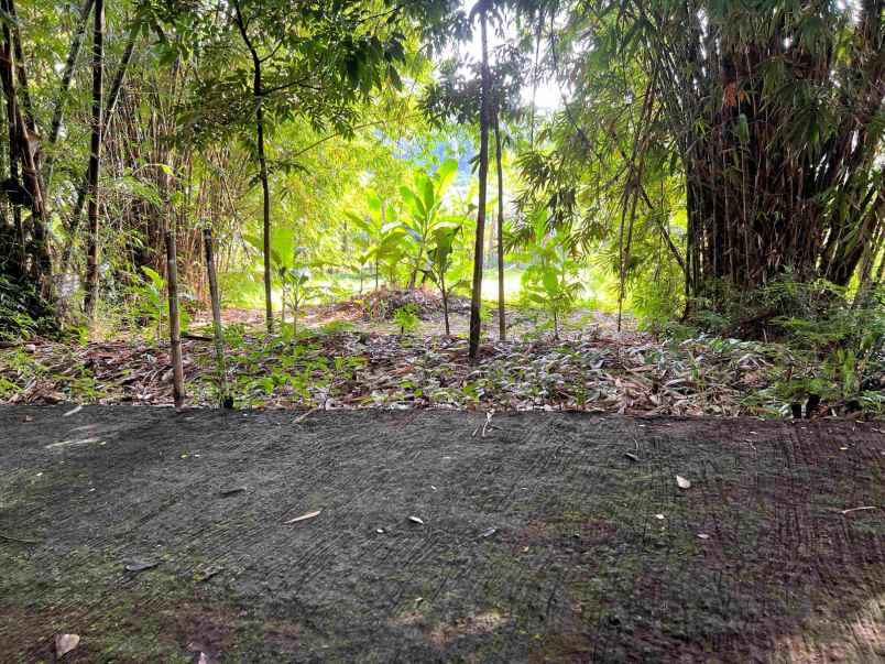 dijual tanah hanya 175 juta mojogedang karanganyar