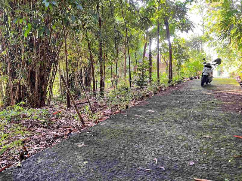 dijual tanah hanya 175 juta mojogedang karanganyar