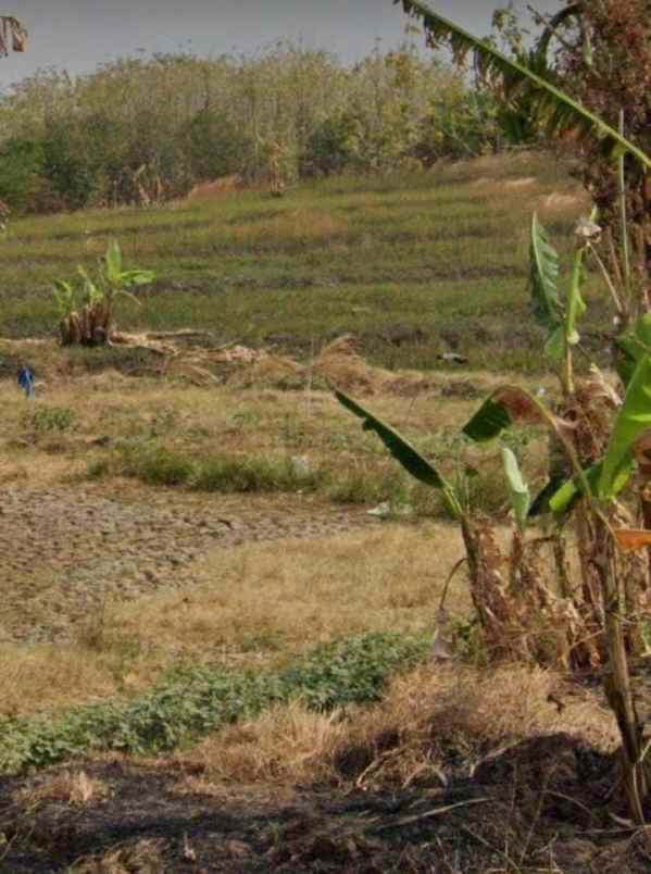 dijual tanah jalan jangga cikamurang