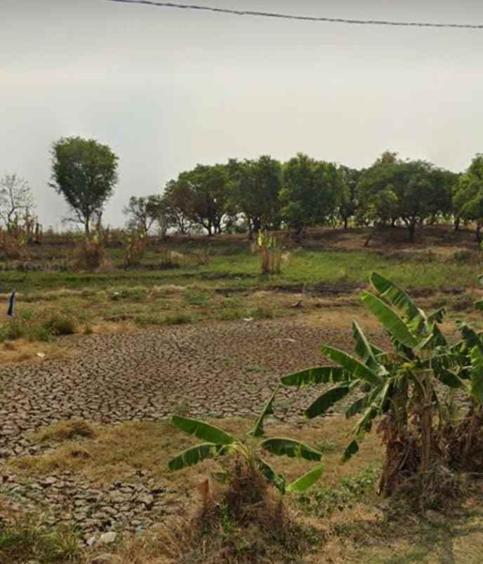 dijual tanah jalan jangga cikamurang