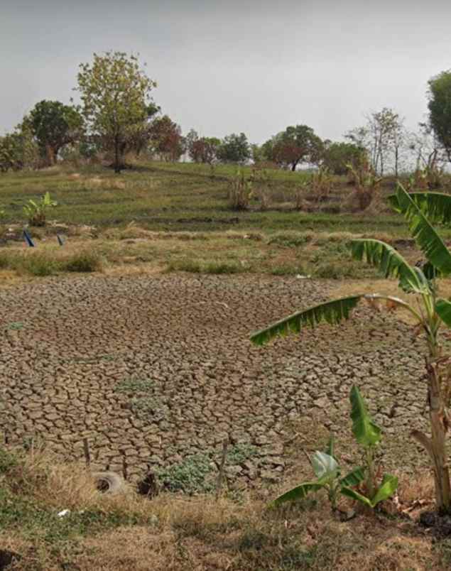 dijual tanah jalan jangga cikamurang