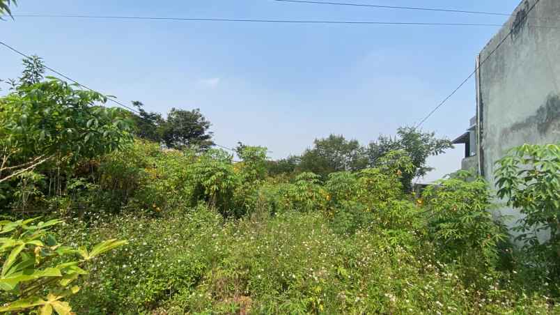 dijual tanah jalan karya bakti