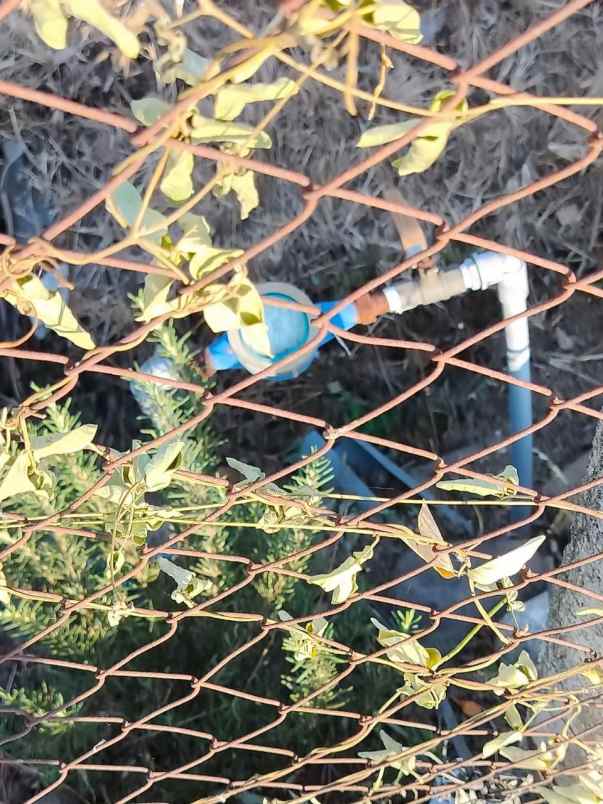 dijual tanah jalan kenanga