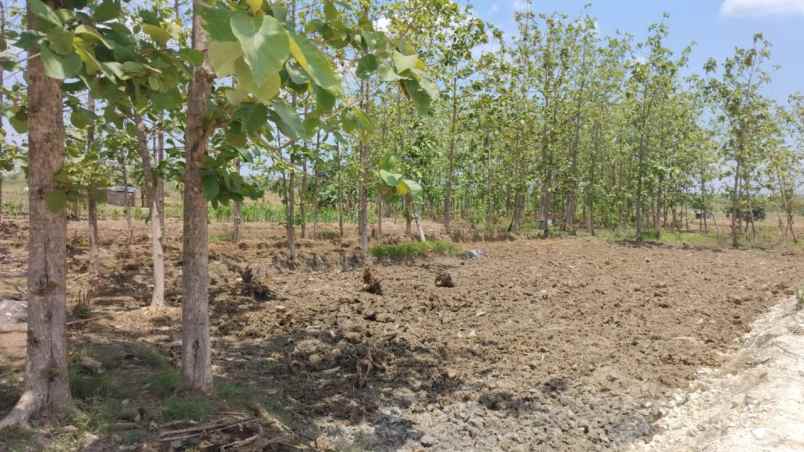 dijual tanah jalan slempit