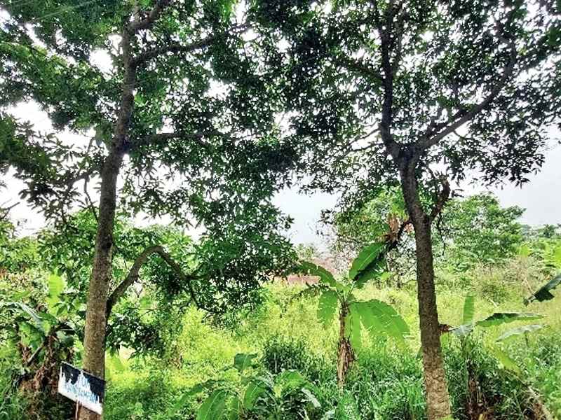 dijual tanah jati asih raya