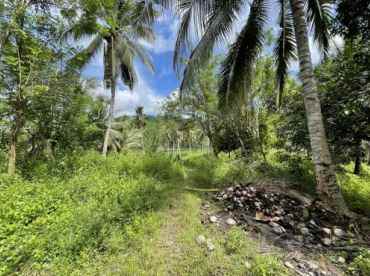 dijual tanah jl raya pindol desa